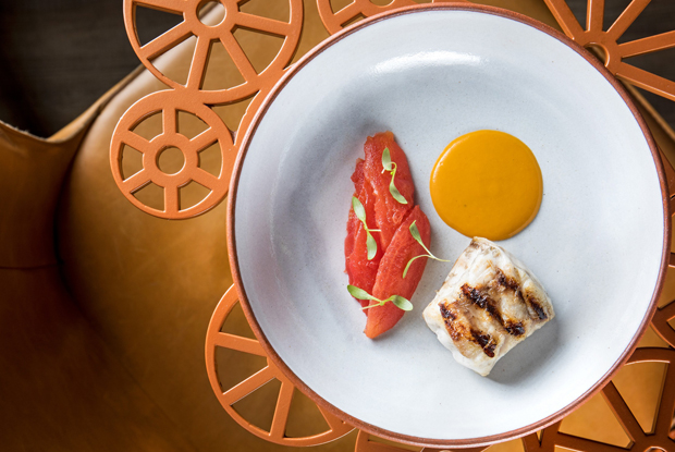 Oro-LATAM-2018-DISH1